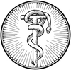 Bronze Serpent Image